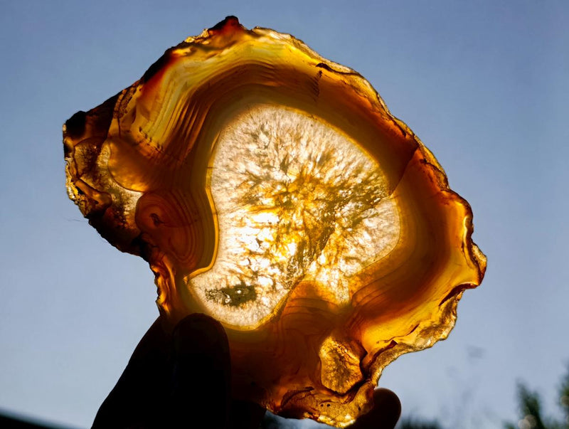 Polished Banded Agate Slices with Natural Edging x 7 From Madagascar - Toprock Gemstones and Minerals 