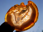 Polished Banded Agate Slices with Natural Edging x 7 From Madagascar - Toprock Gemstones and Minerals 