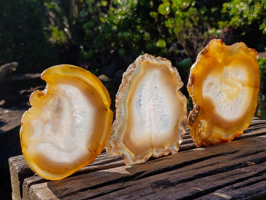 Polished Banded Agate Slices with Natural Edging x 7 From Madagascar - Toprock Gemstones and Minerals 