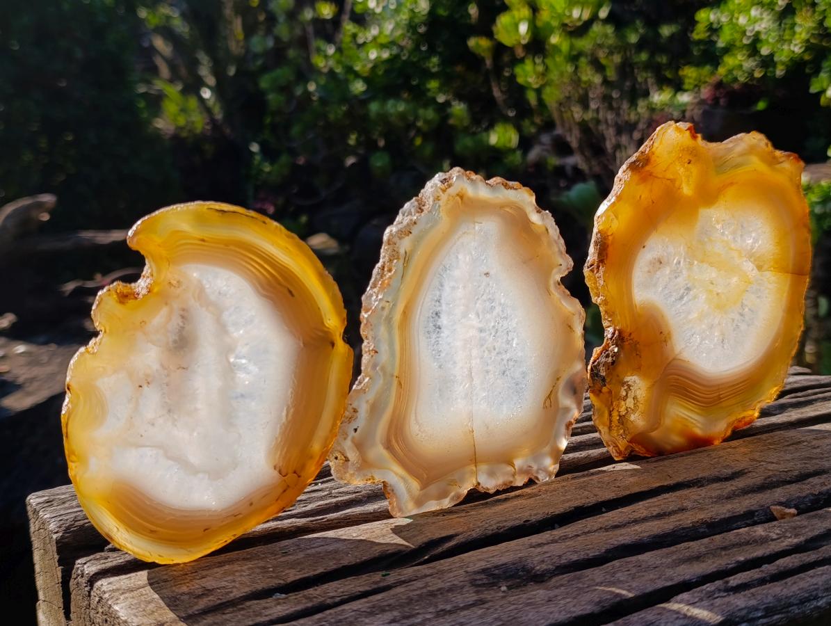 Polished Banded Agate Slices with Natural Edging x 7 From Madagascar - Toprock Gemstones and Minerals 