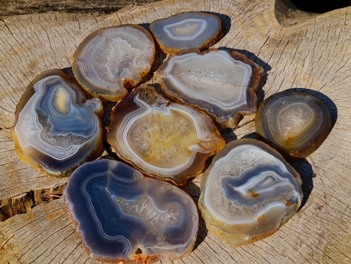 Polished Banded Agate Slices with Natural Edging x 7 From Madagascar - Toprock Gemstones and Minerals 