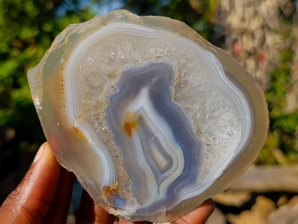 Polished Banded Agate Slices with Natural Edging x 7 From Madagascar - Toprock Gemstones and Minerals 