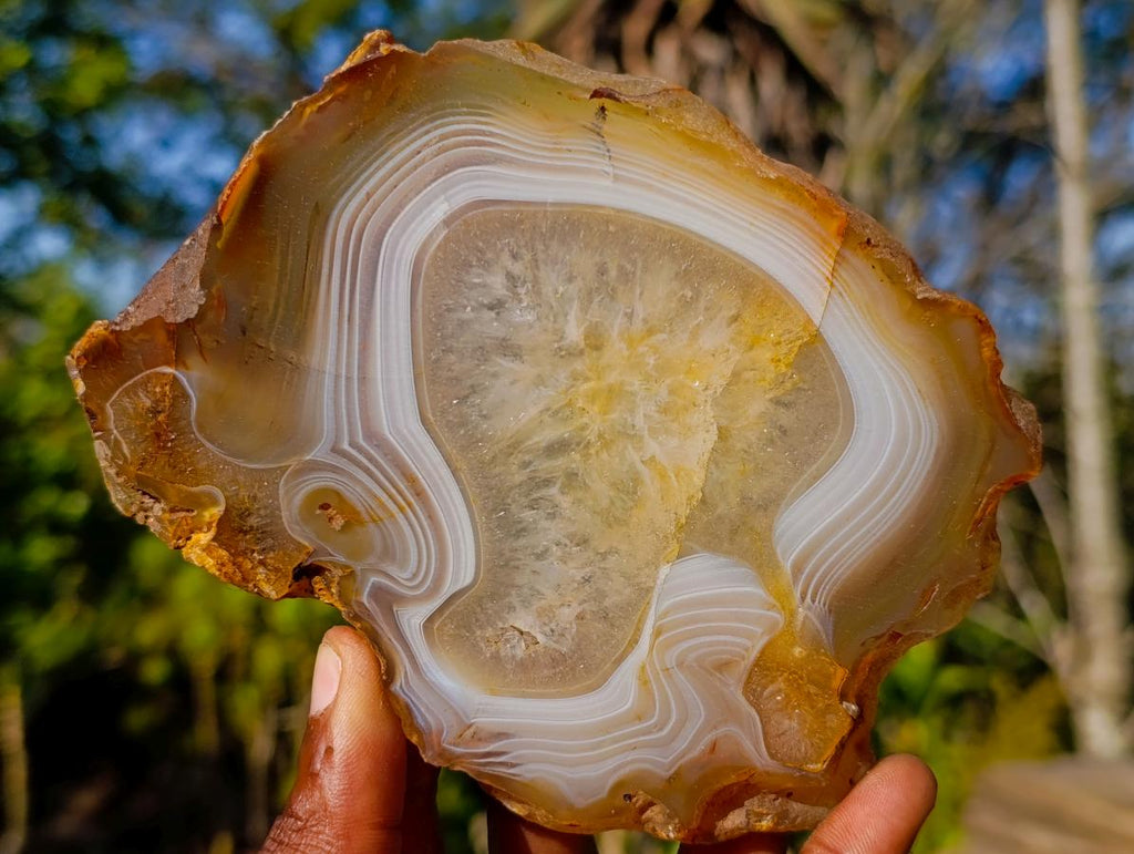 Polished Banded Agate Slices with Natural Edging x 7 From Madagascar - Toprock Gemstones and Minerals 