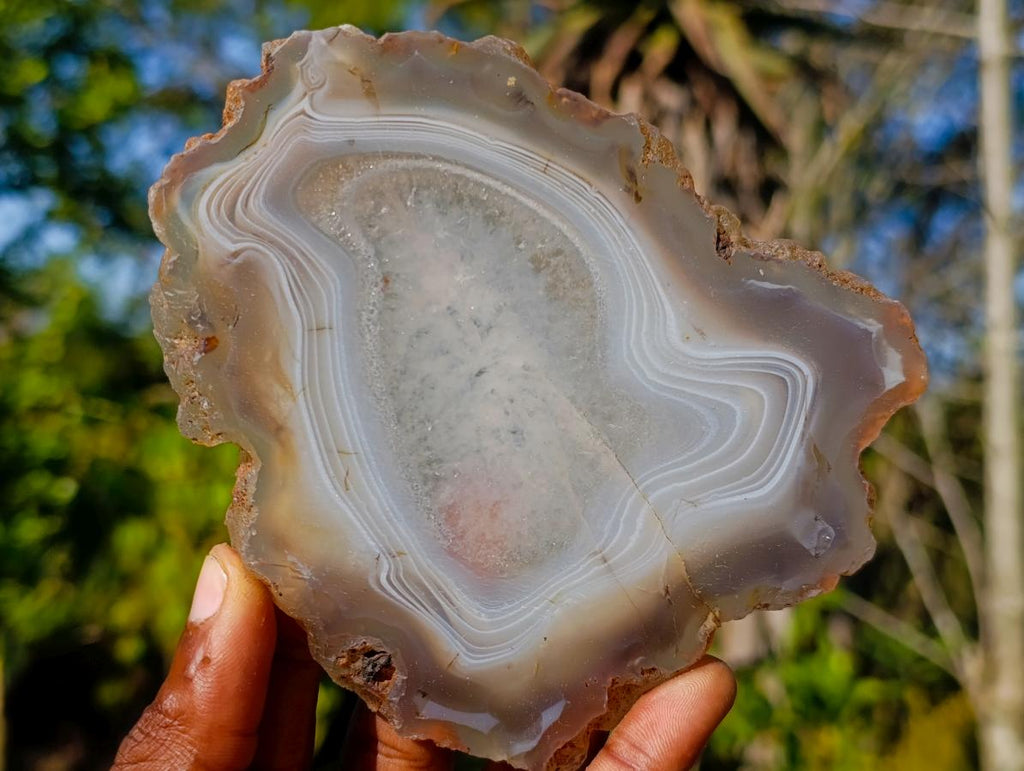 Polished Banded Agate Slices with Natural Edging x 7 From Madagascar - Toprock Gemstones and Minerals 