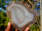 Polished Banded Agate Slices with Natural Edging x 7 From Madagascar - Toprock Gemstones and Minerals 