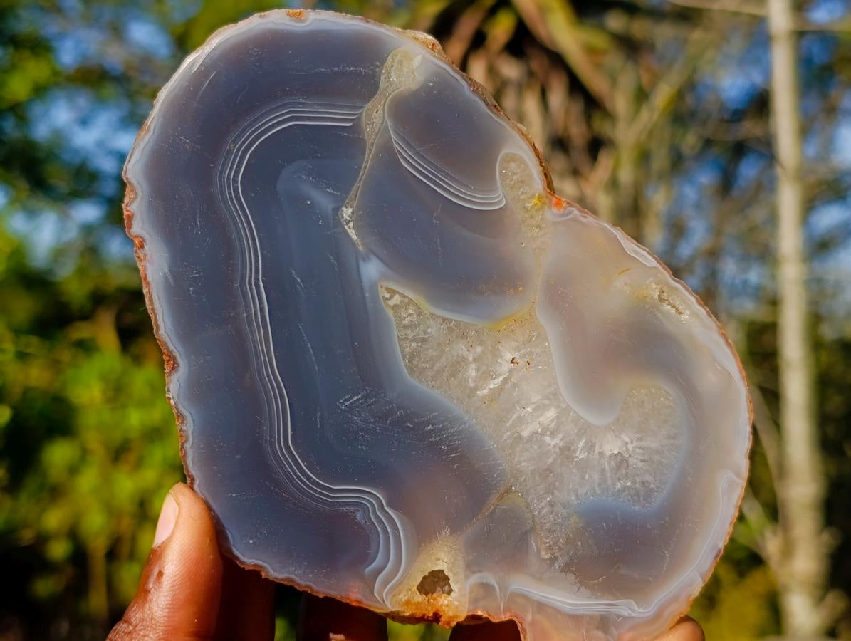 Polished Banded Agate Slices with Natural Edging x 7 From Madagascar - Toprock Gemstones and Minerals 