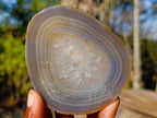 Polished Banded Agate Slices with Natural Edging x 7 From Madagascar - Toprock Gemstones and Minerals 
