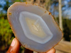 Polished Banded Agate Slices with Natural Edging x 7 From Madagascar - Toprock Gemstones and Minerals 