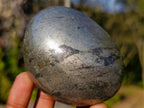 Polished Basalt Pharaoh Stone Galets x 12 From Iron Duke Mine, Zimbabwe - Toprock Gemstones and Minerals 