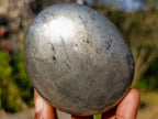 Polished Basalt Pharaoh Stone Galets x 12 From Iron Duke Mine, Zimbabwe - Toprock Gemstones and Minerals 