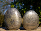 Polished Basalt Pharaoh Stone Galets x 12 From Iron Duke Mine, Zimbabwe - Toprock Gemstones and Minerals 
