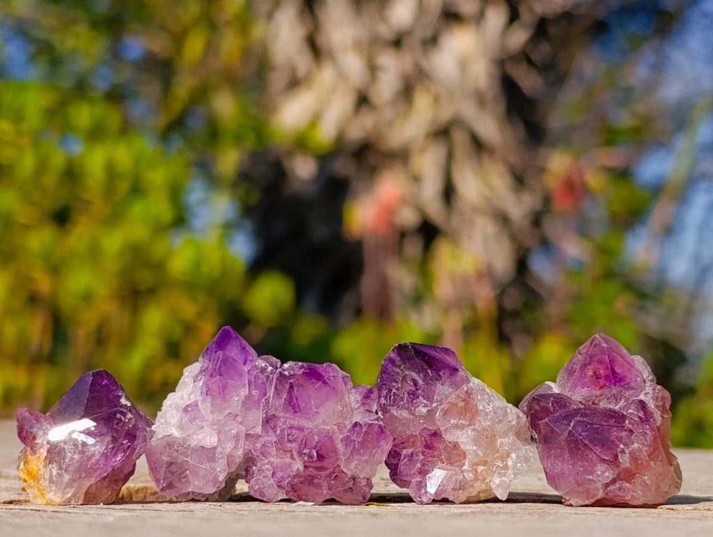 Natural Mini Amethyst Clusters x 70 From Ambatondrazaka, Madagascar - Toprock Gemstones and Minerals 