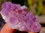 Natural Mini Amethyst Clusters x 70 From Ambatondrazaka, Madagascar - Toprock Gemstones and Minerals 