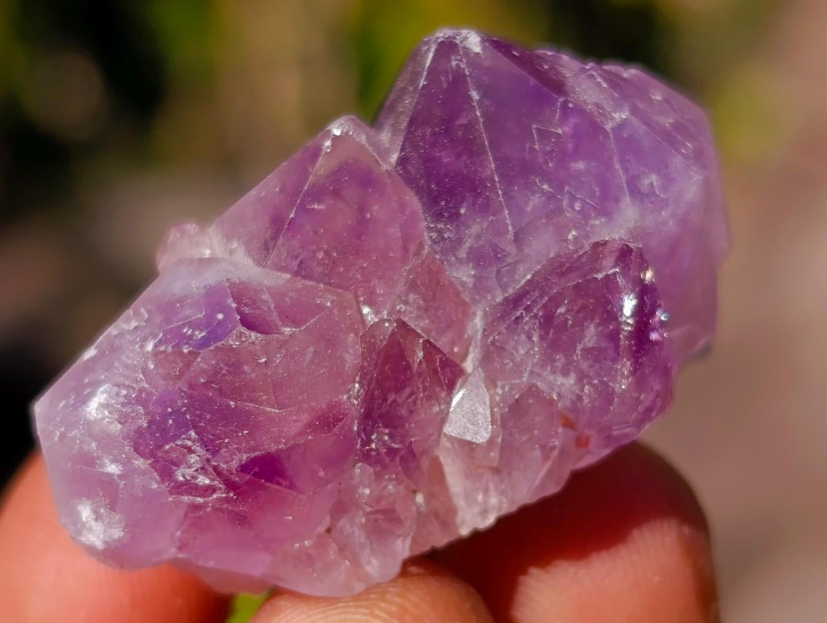 Natural Mini Amethyst Clusters x 70 From Ambatondrazaka, Madagascar - Toprock Gemstones and Minerals 