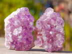 Natural Mini Amethyst Clusters x 70 From Ambatondrazaka, Madagascar - Toprock Gemstones and Minerals 