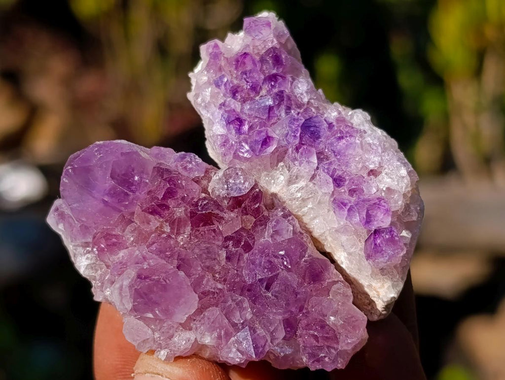 Natural Mini Amethyst Clusters x 70 From Ambatondrazaka, Madagascar - Toprock Gemstones and Minerals 