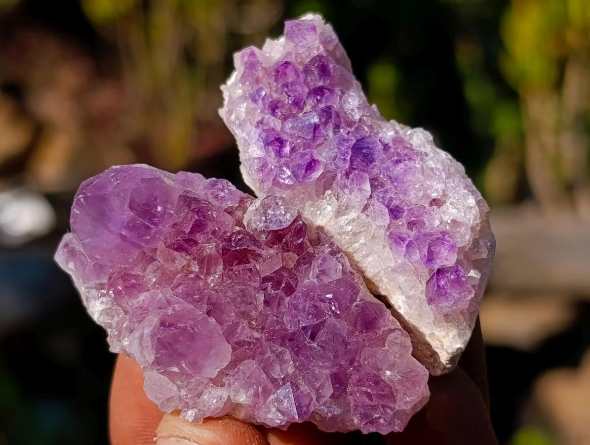Natural Mini Amethyst Clusters x 70 From Ambatondrazaka, Madagascar - Toprock Gemstones and Minerals 