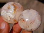 Polished Flower Agate Free Forms x 70 From Antsahalova, Madagascar - Toprock Gemstones and Minerals 