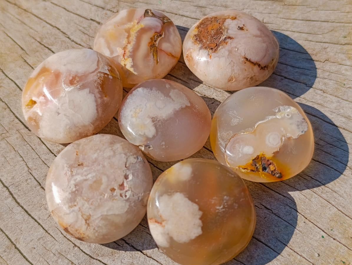 Polished Flower Agate Free Forms x 70 From Antsahalova, Madagascar - Toprock Gemstones and Minerals 