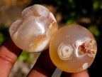 Polished Flower Agate Free Forms x 70 From Antsahalova, Madagascar - Toprock Gemstones and Minerals 