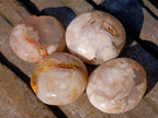 Polished Flower Agate Free Forms x 70 From Antsahalova, Madagascar - Toprock Gemstones and Minerals 
