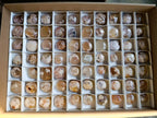 Polished Flower Agate Free Forms x 70 From Antsahalova, Madagascar - Toprock Gemstones and Minerals 