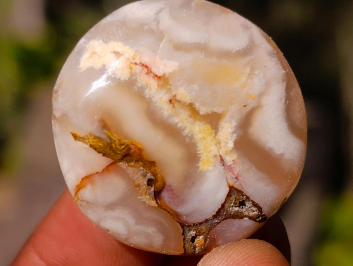 Polished Flower Agate Free Forms x 70 From Antsahalova, Madagascar - Toprock Gemstones and Minerals 