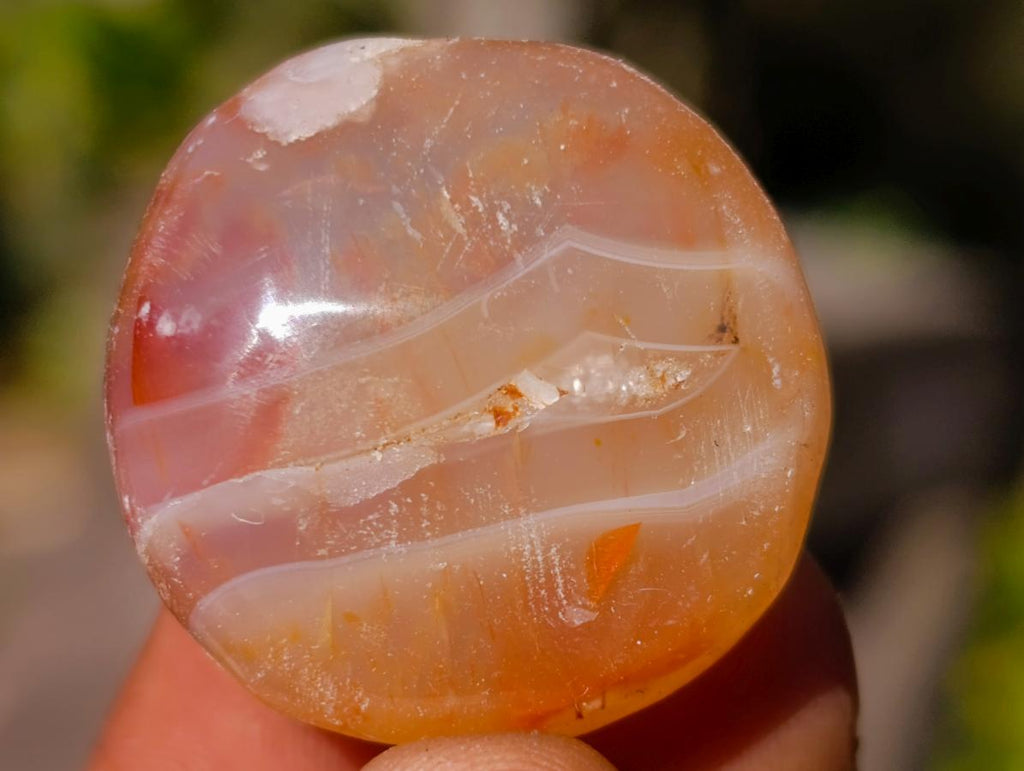 Polished Flower Agate Free Forms x 70 From Antsahalova, Madagascar - Toprock Gemstones and Minerals 