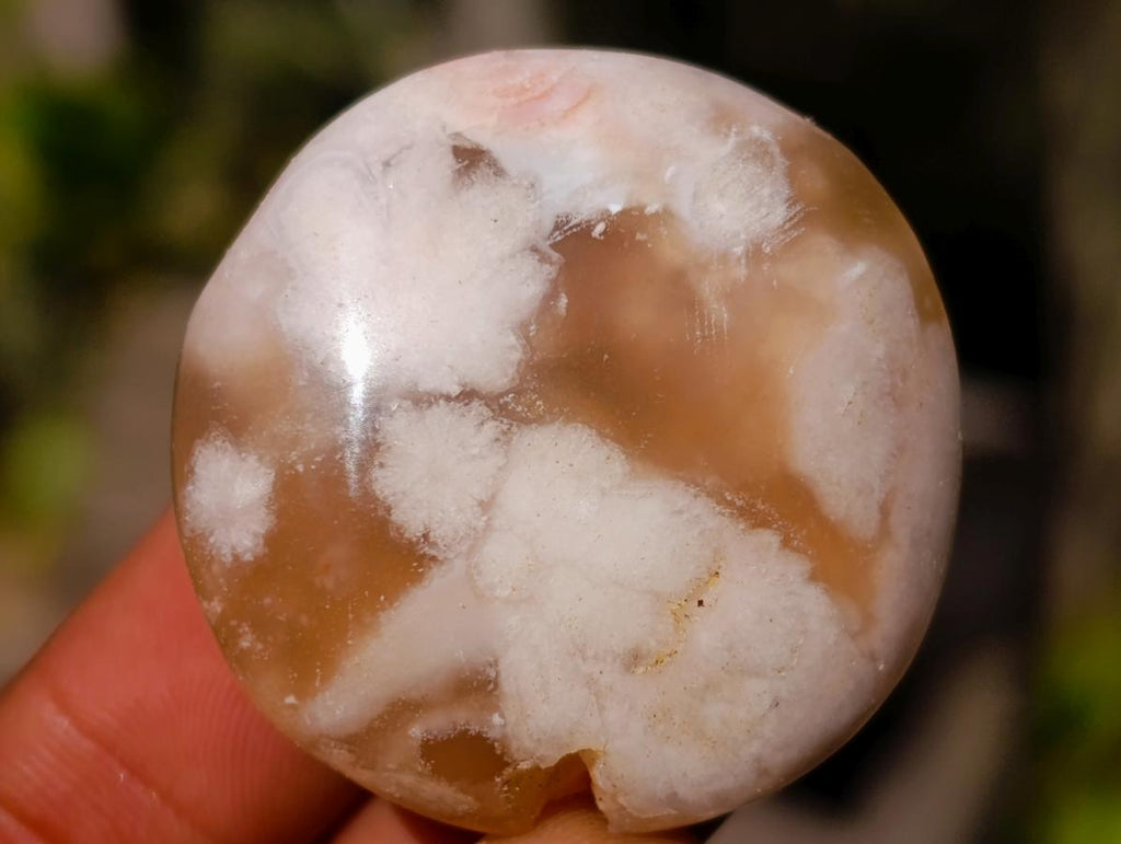 Polished Flower Agate Free Forms x 70 From Antsahalova, Madagascar - Toprock Gemstones and Minerals 