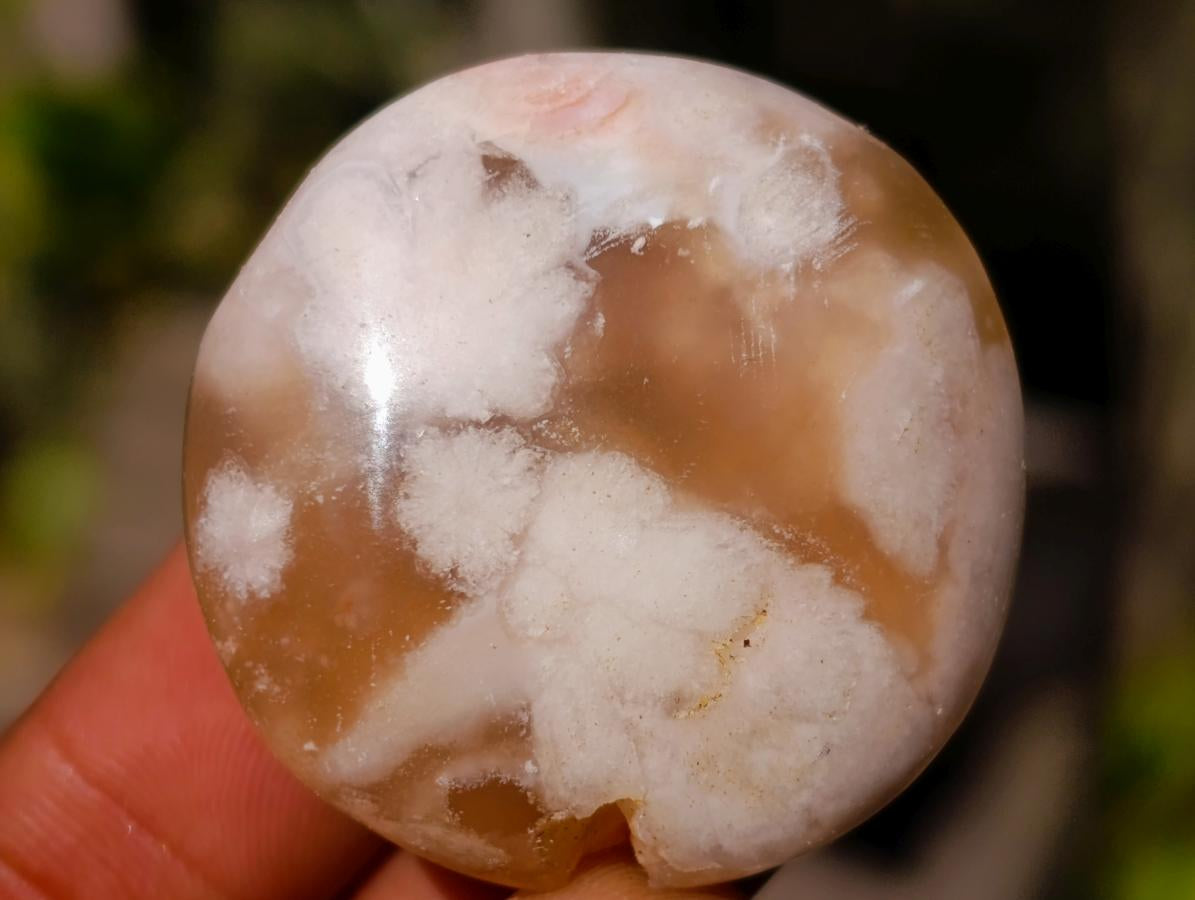 Polished Flower Agate Free Forms x 70 From Antsahalova, Madagascar - Toprock Gemstones and Minerals 