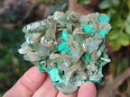Natural Rare Bladed Barite with Malachite Specimens x 3 From Shangulowé Mine, Congo - Toprock Gemstones and Minerals 