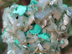 Natural Rare Bladed Barite with Malachite Specimens x 3 From Shangulowé Mine, Congo - Toprock Gemstones and Minerals 