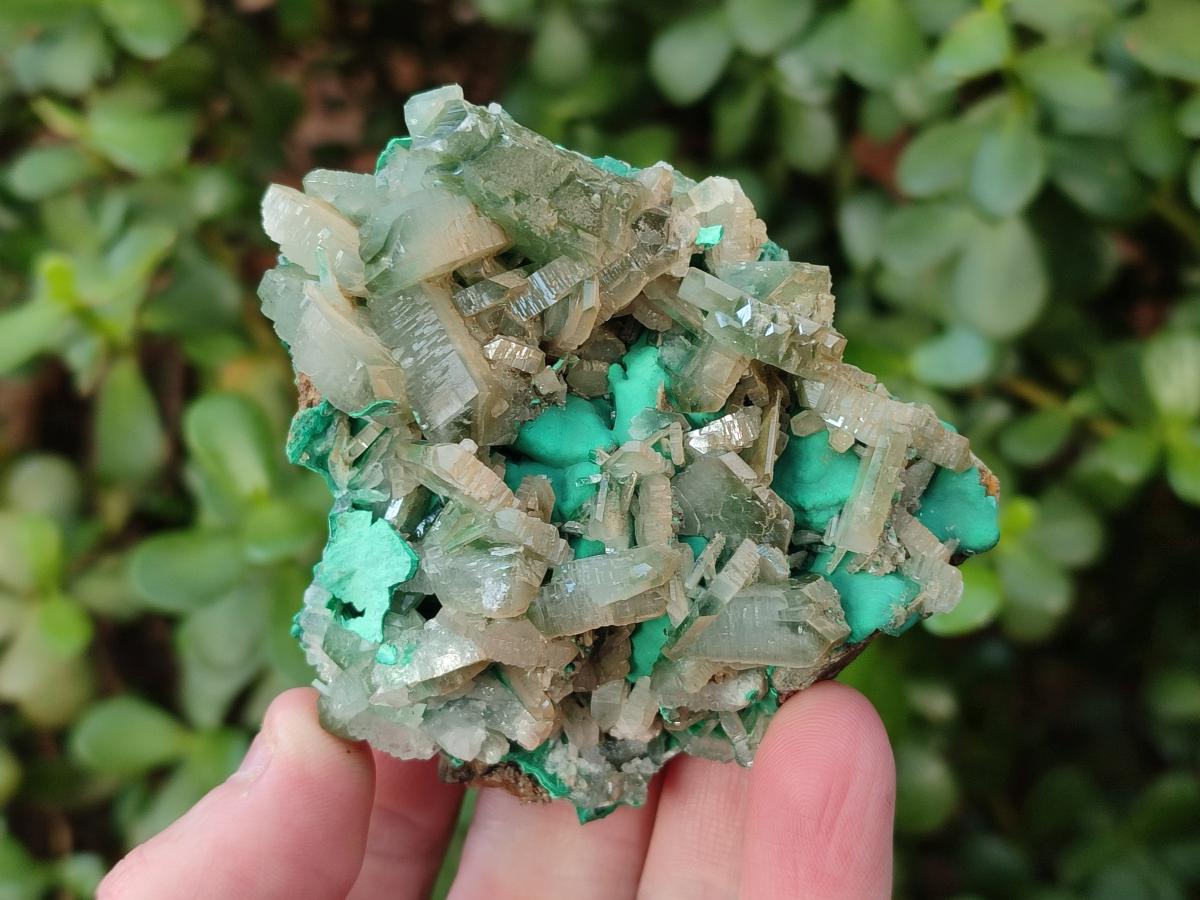 Natural Rare Bladed Barite with Malachite Specimens x 3 From Shangulowé Mine, Congo - Toprock Gemstones and Minerals 