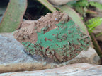 Natural Rare Bladed Barite with Malachite Specimens x 3 From Shangulowé Mine, Congo - Toprock Gemstones and Minerals 