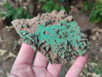 Natural Rare Bladed Barite with Malachite Specimens x 3 From Shangulowé Mine, Congo - Toprock Gemstones and Minerals 