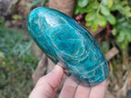 Polished Blue Apatite Standing Display Pieces x 2 From Betroka, Madagascar - Toprock Gemstones and Minerals 