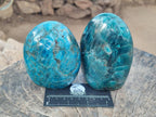 Polished Blue Apatite Standing Display Pieces x 2 From Betroka, Madagascar - Toprock Gemstones and Minerals 