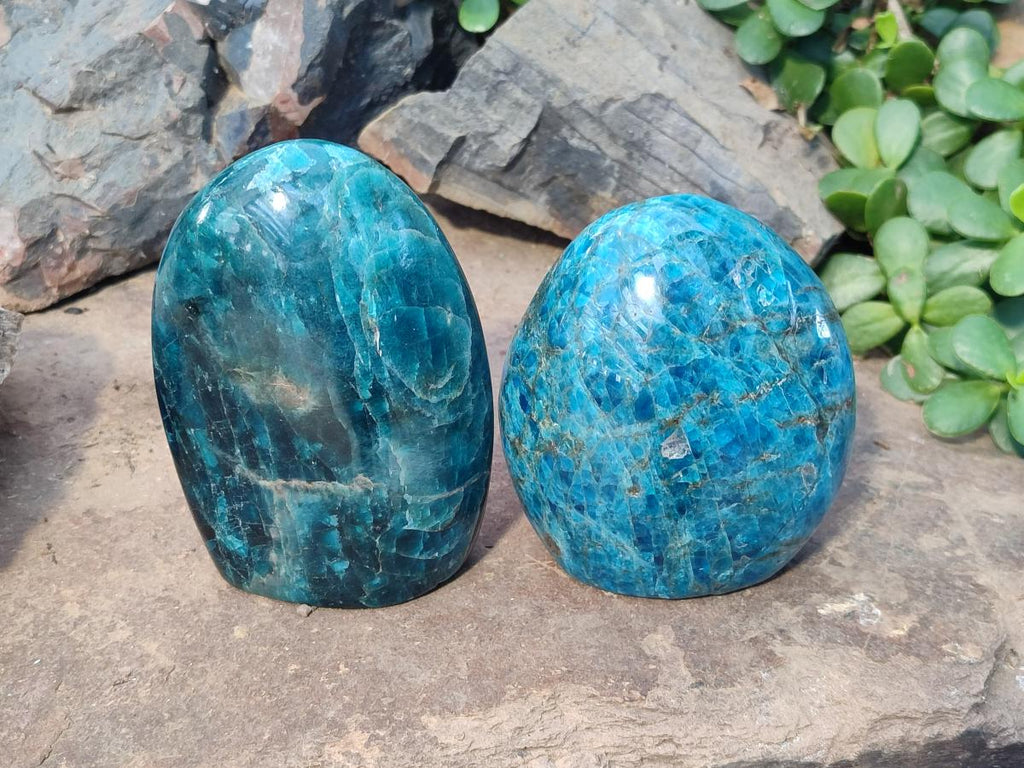 Polished Blue Apatite Standing Display Pieces x 2 From Betroka, Madagascar - Toprock Gemstones and Minerals 