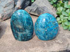 Polished Blue Apatite Standing Display Pieces x 2 From Betroka, Madagascar - Toprock Gemstones and Minerals 