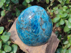 Polished Blue Apatite Standing Display Pieces x 2 From Betroka, Madagascar - Toprock Gemstones and Minerals 