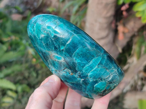 Polished Blue Apatite Standing Display Pieces x 2 From Betroka, Madagascar - Toprock Gemstones and Minerals 