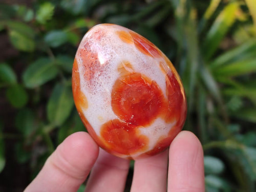 Polished Carnelian Agate Gemstone Eggs x 6 From Madagascar - Toprock Gemstones and Minerals 