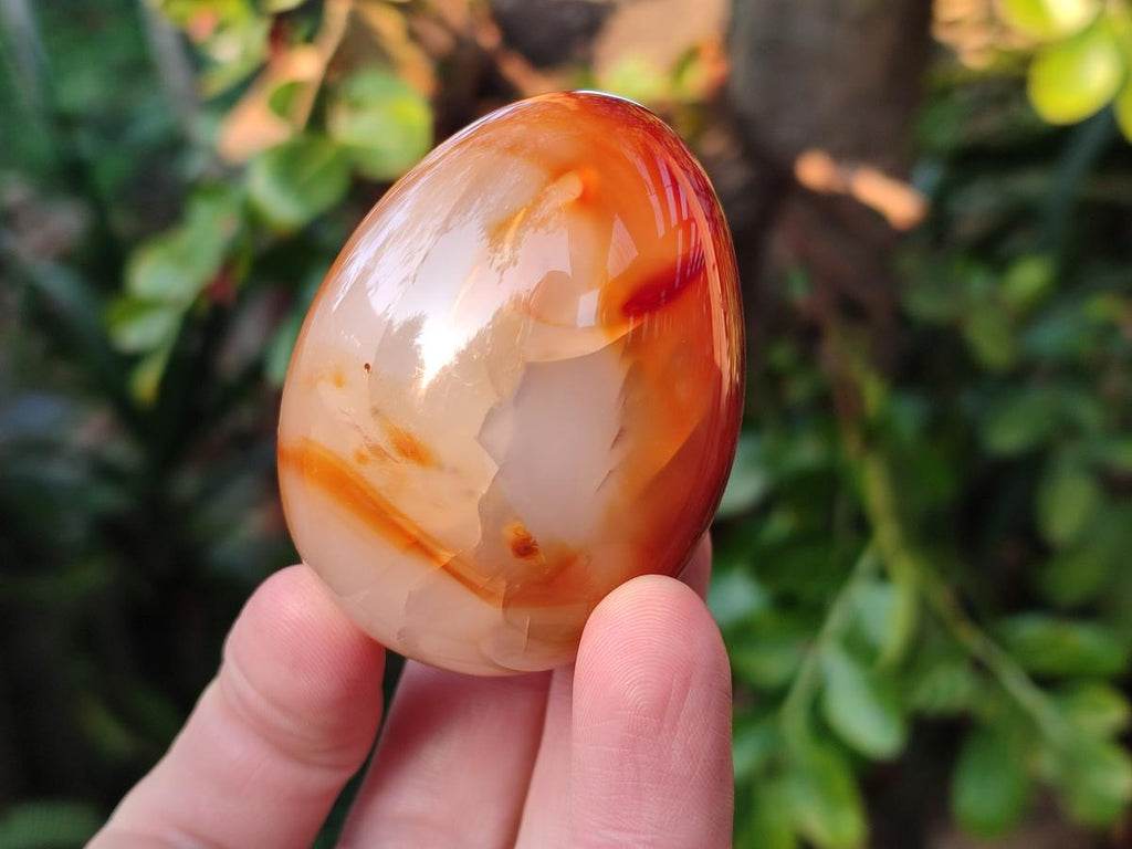 Polished Carnelian Agate Gemstone Eggs x 6 From Madagascar - Toprock Gemstones and Minerals 