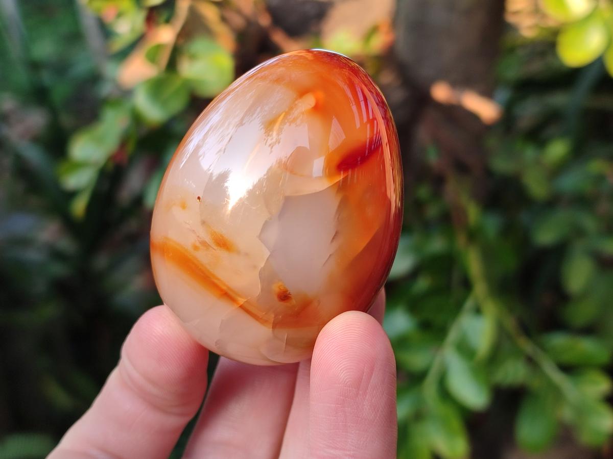 Polished Carnelian Agate Gemstone Eggs x 6 From Madagascar - Toprock Gemstones and Minerals 