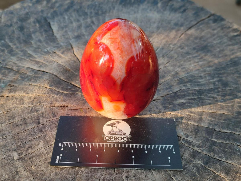 Polished Carnelian Agate Gemstone Eggs x 6 From Madagascar - Toprock Gemstones and Minerals 