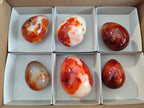 Polished Carnelian Agate Gemstone Eggs x 6 From Madagascar - Toprock Gemstones and Minerals 