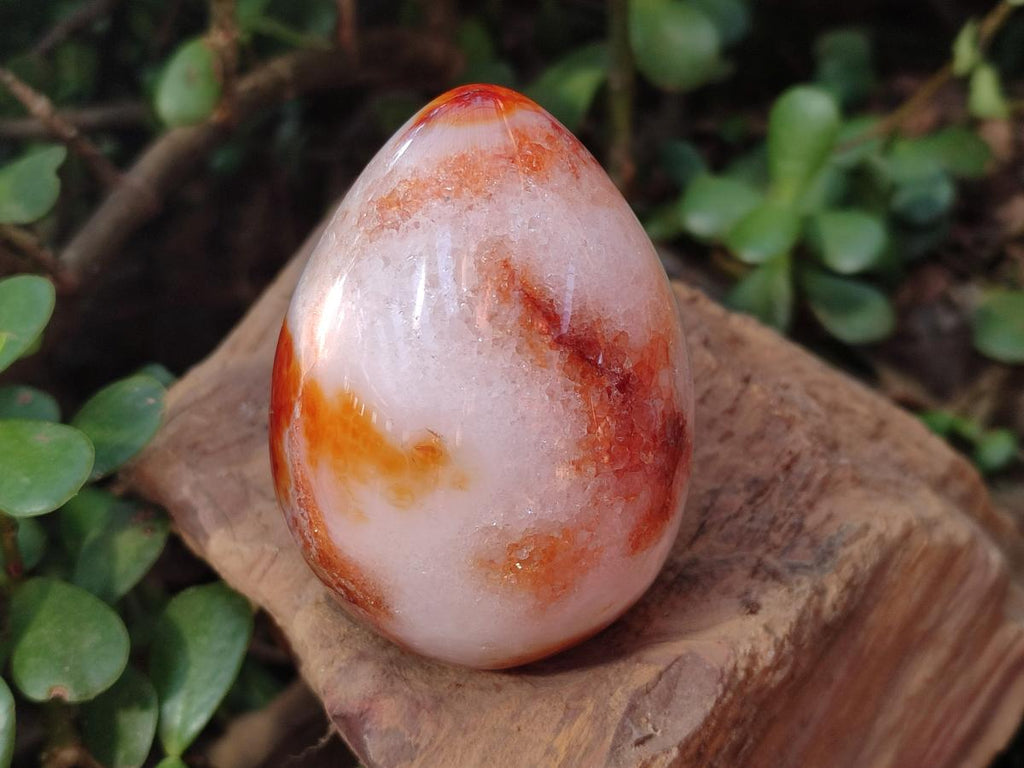 Polished Carnelian Agate Gemstone Eggs x 6 From Madagascar - Toprock Gemstones and Minerals 