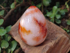 Polished Carnelian Agate Gemstone Eggs x 6 From Madagascar - Toprock Gemstones and Minerals 