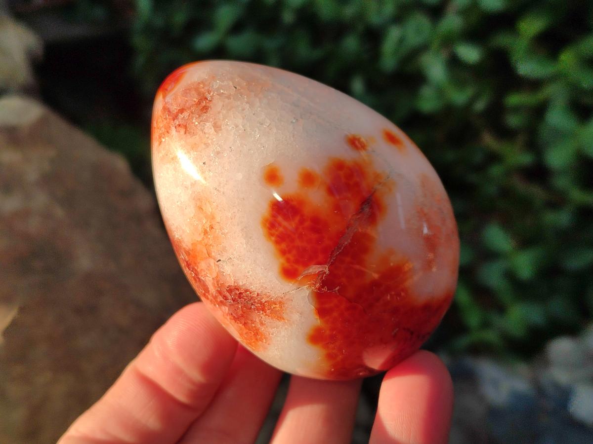 Polished Carnelian Agate Gemstone Eggs x 6 From Madagascar - Toprock Gemstones and Minerals 