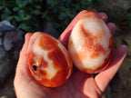 Polished Carnelian Agate Gemstone Eggs x 6 From Madagascar - Toprock Gemstones and Minerals 